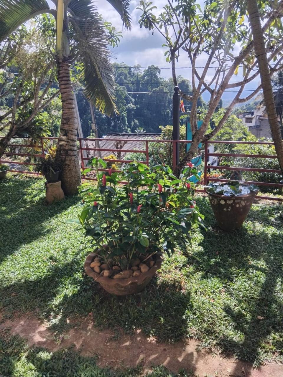 Nature Walk Resort Kandy Exterior photo