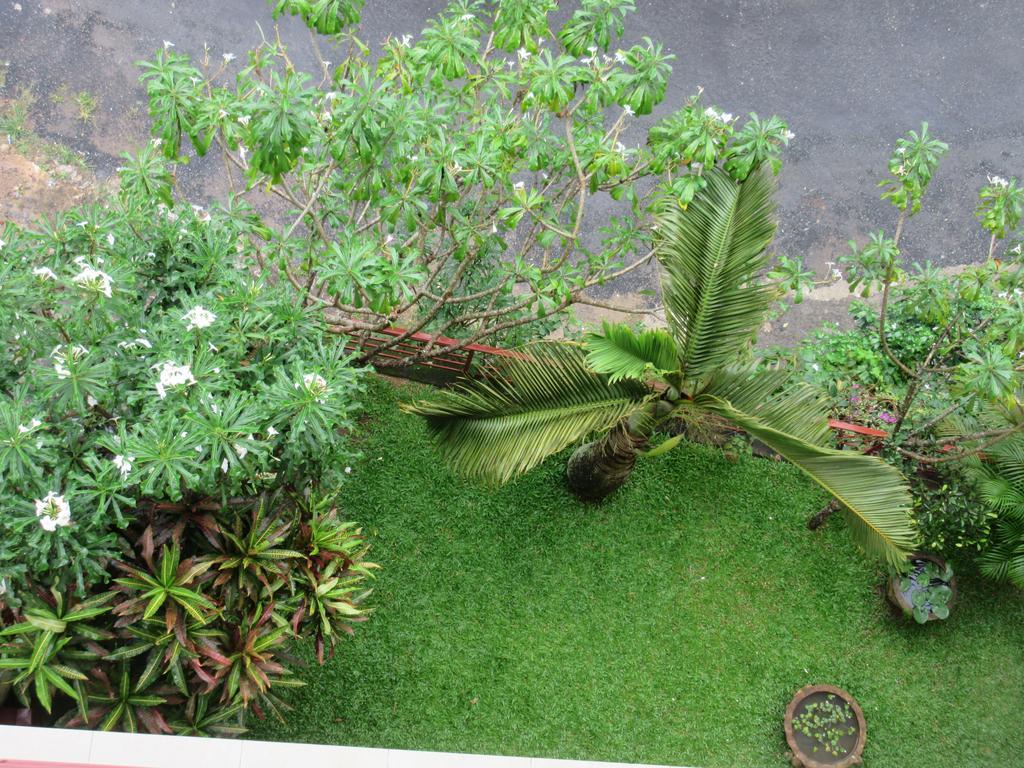 Nature Walk Resort Kandy Exterior photo