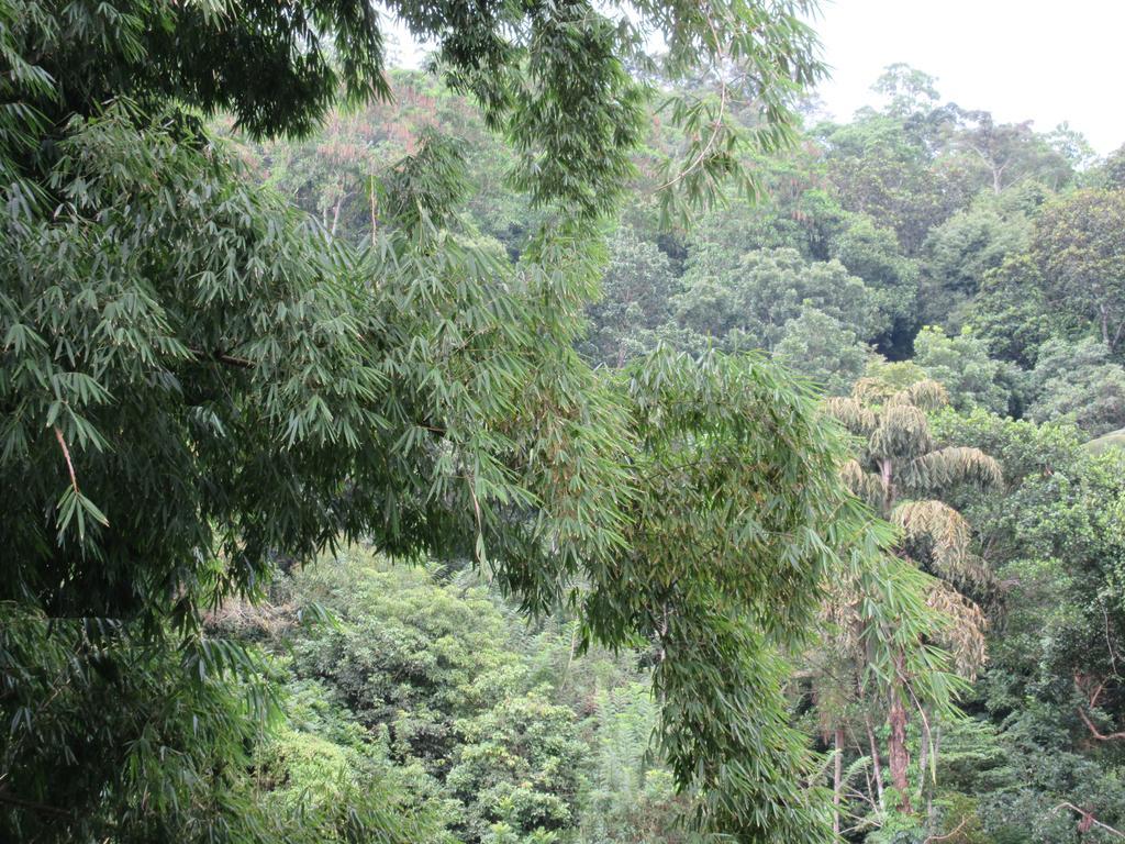 Nature Walk Resort Kandy Exterior photo