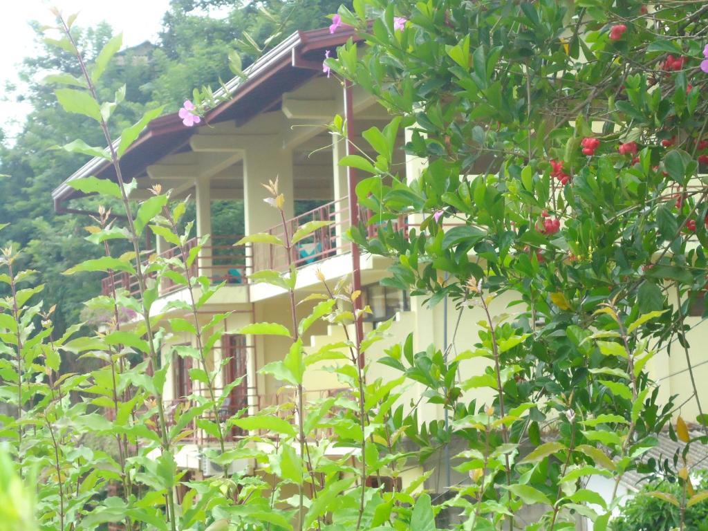 Nature Walk Resort Kandy Exterior photo